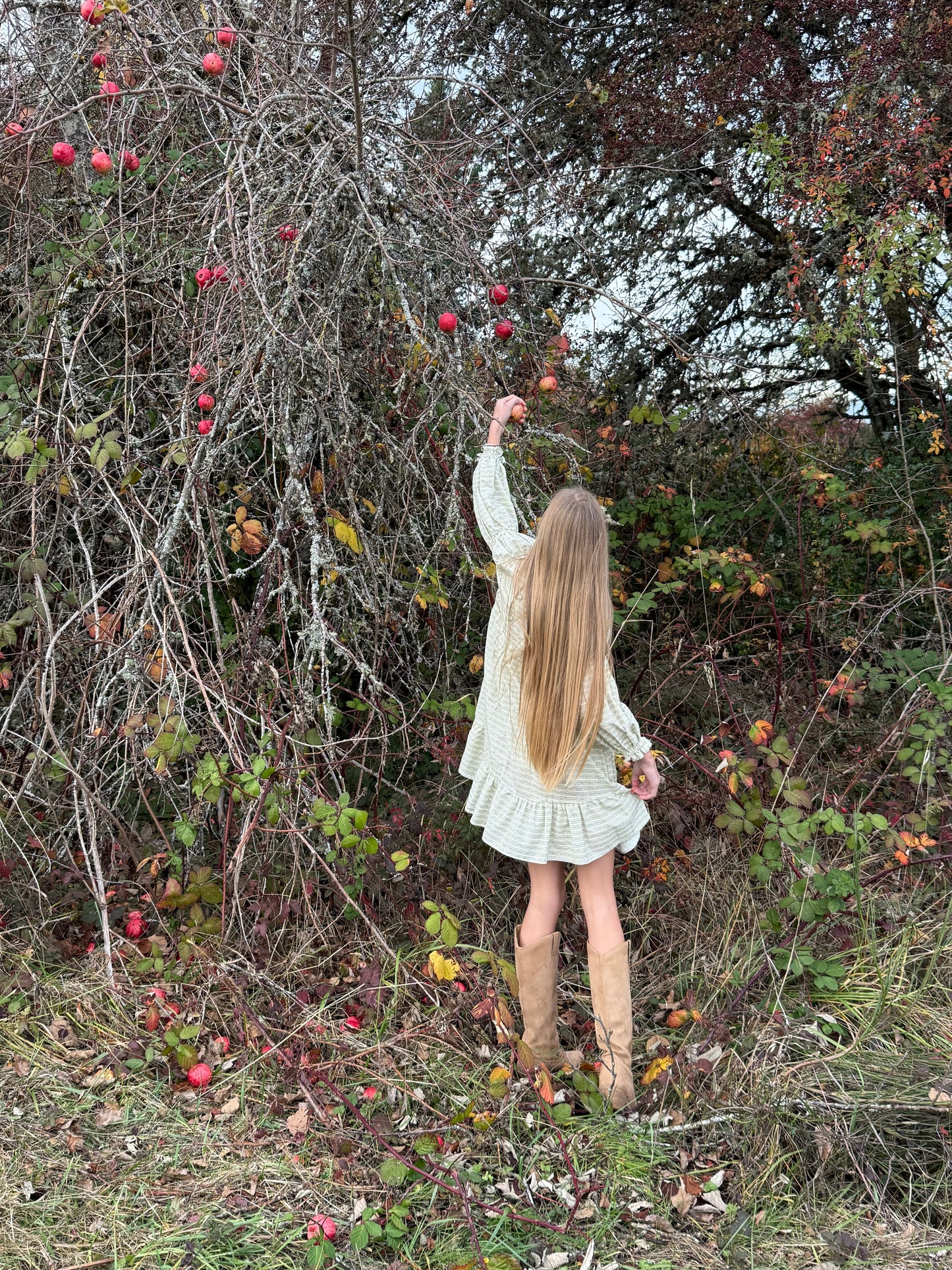 Person in a white dress standing in an apple orchard with bare trees and fallen apples.