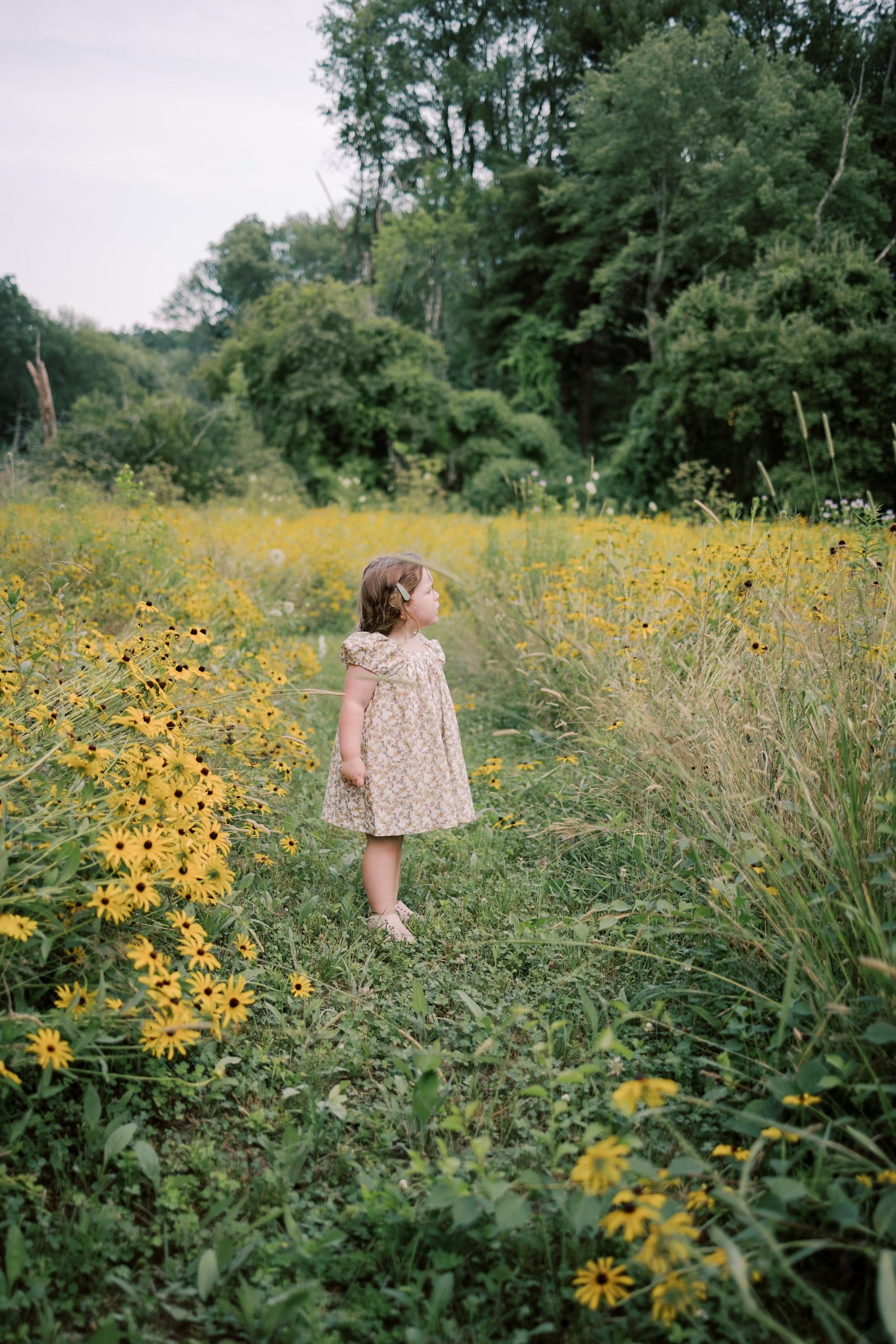 The Weekend Dress Short Sleeve- Mustard Sage Blossom