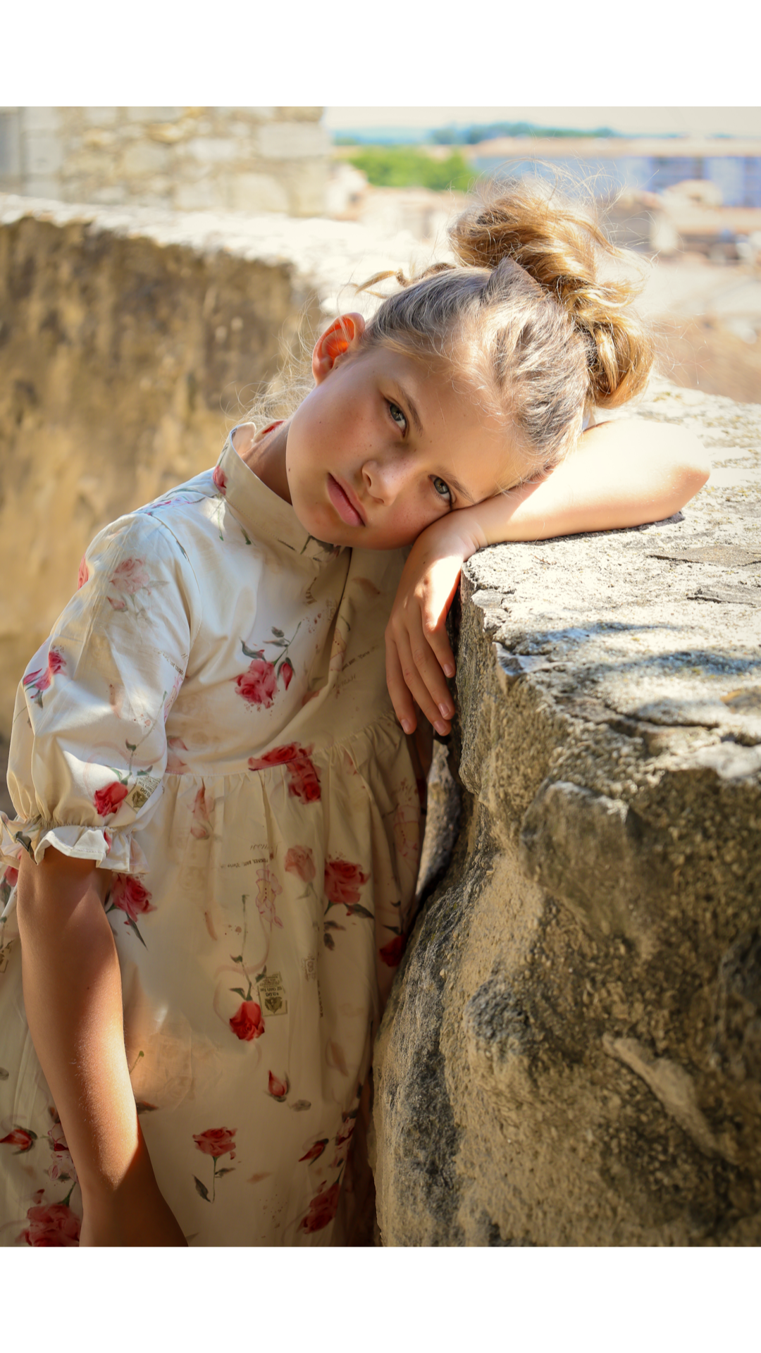 Madeleine Dress- Rose Garden Toile