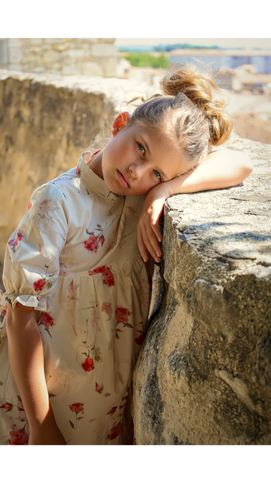 Madeleine Dress- Rose Garden Toile