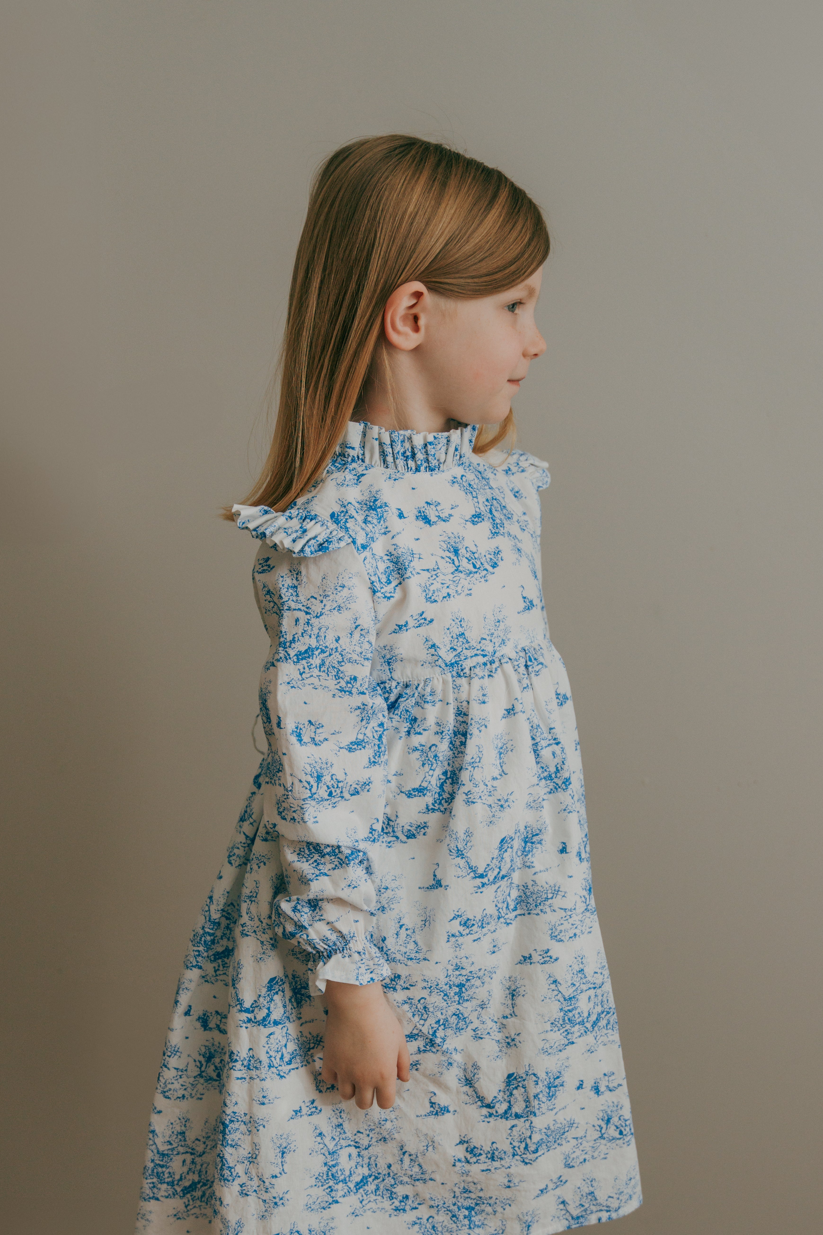 Aoki Dress-BLUE TOILE