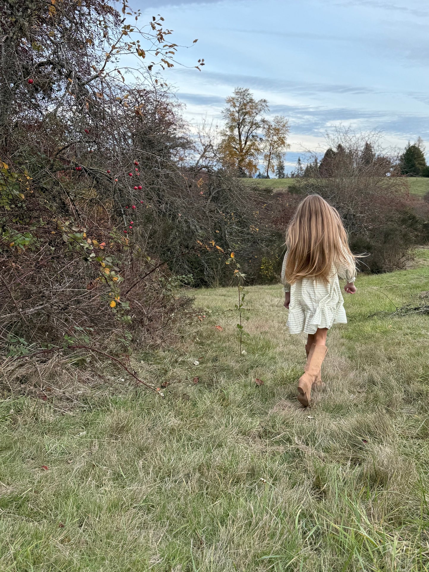 Fiona Dress- Blush Vine Stripe