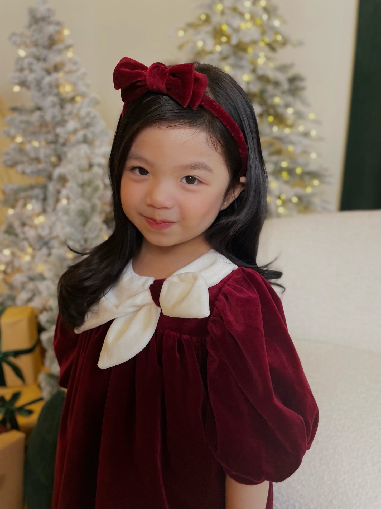 Rosemoor Dress |  Winterberry Red  Cotton Velvet