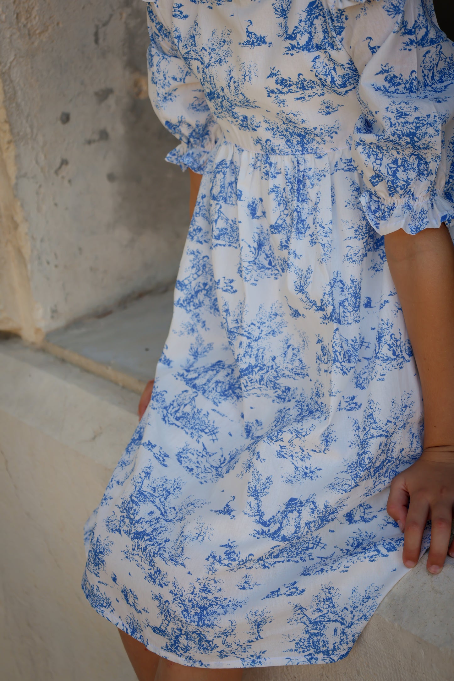 Aoki Dress-Blue Toile | Three-Quarter Sleeve
