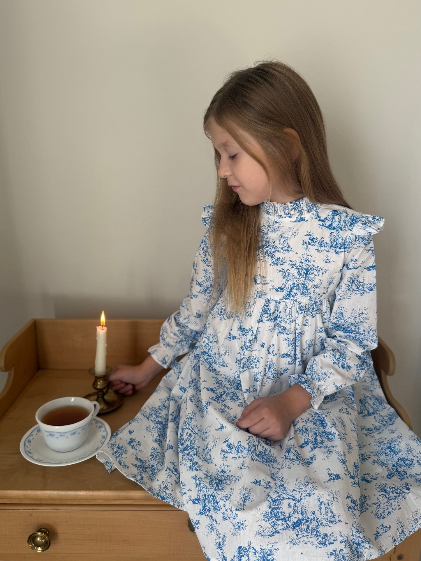 Aoki Dress-Blue Toile | Long Sleeve