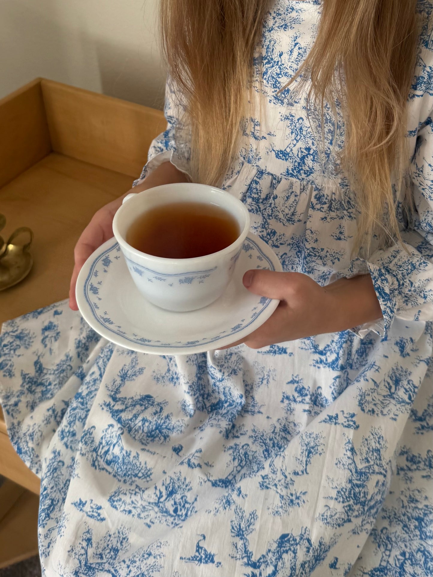 Aoki Dress-Blue Toile | Long Sleeve