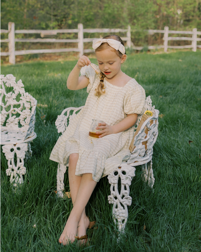 Weekend Dress  Blush Vine Stripe