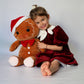 Child in a red dress holding a gingerbread man plush toy against a white background